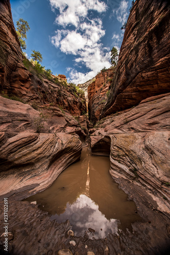 Trail to the Observation Point (Zion Canyon)
