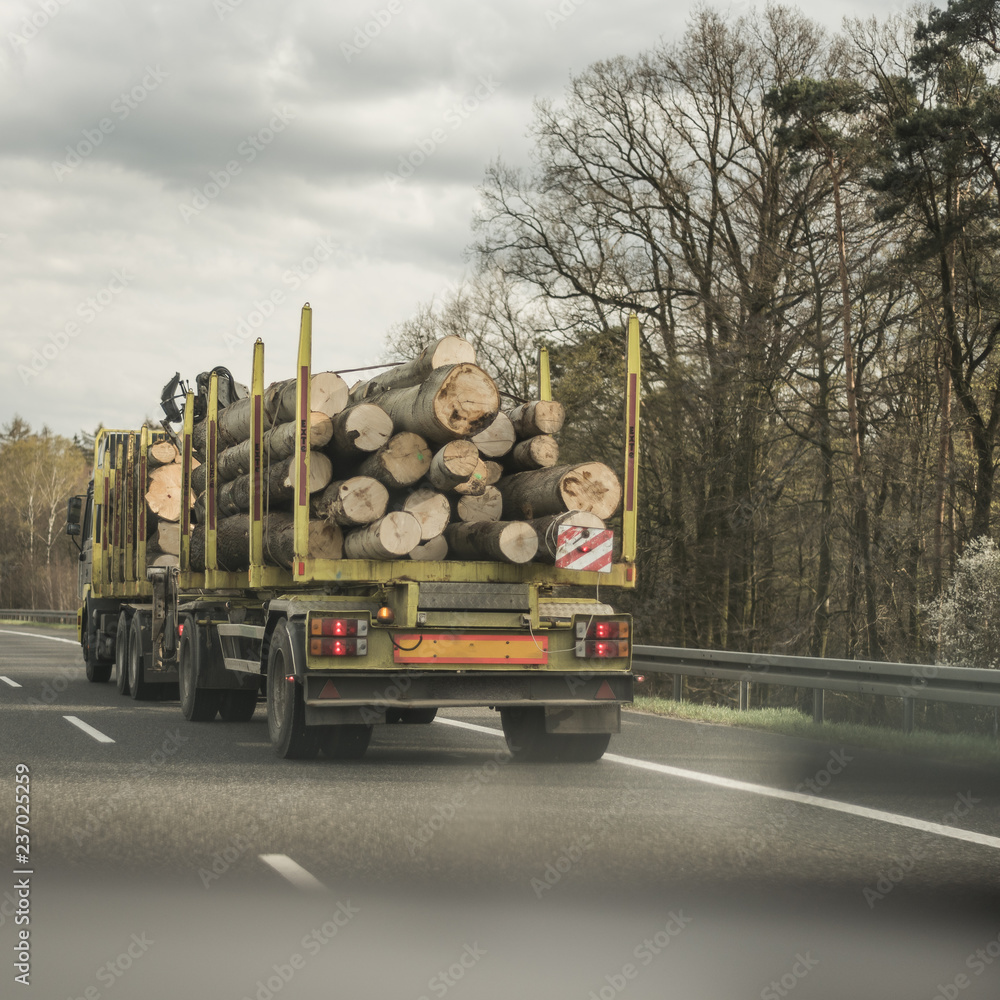 truck wood road