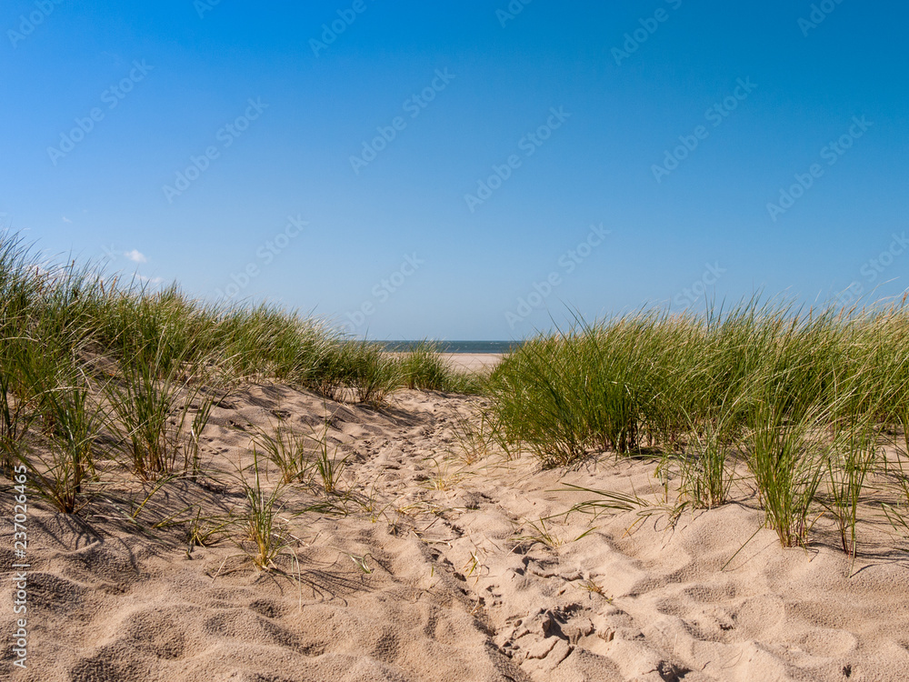 Dune covered with grass and some footprints in the front of the noth sea at the beach on the island Texel in the Netherlands Dune covered with grass and some footprints in the front of the noth sea at the beach on the island Texel in the Netherlands