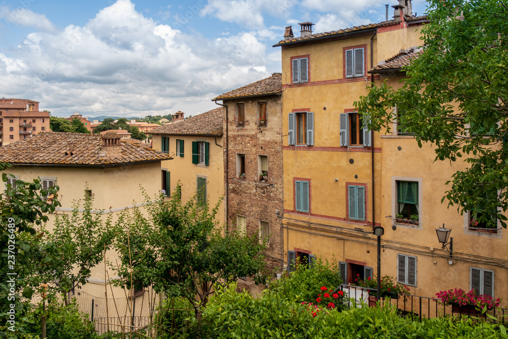 Row of classic italian houses in the historic town of Siena in Tuscany, Italy and some trees in the front