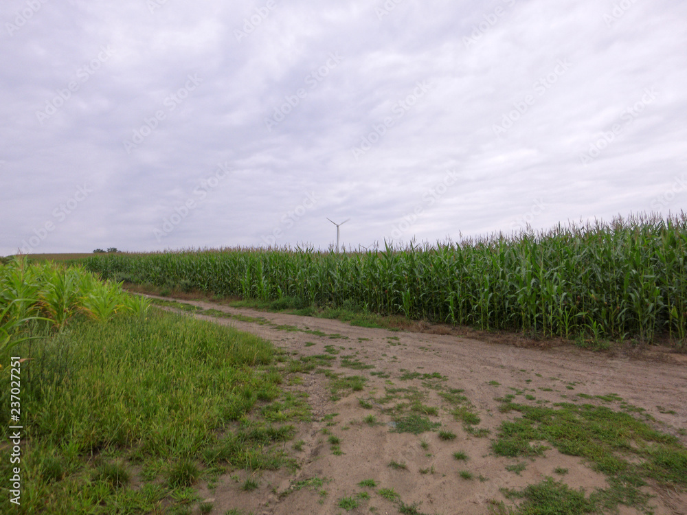 Feldweg in Lehnin Feldweg in Lehnin