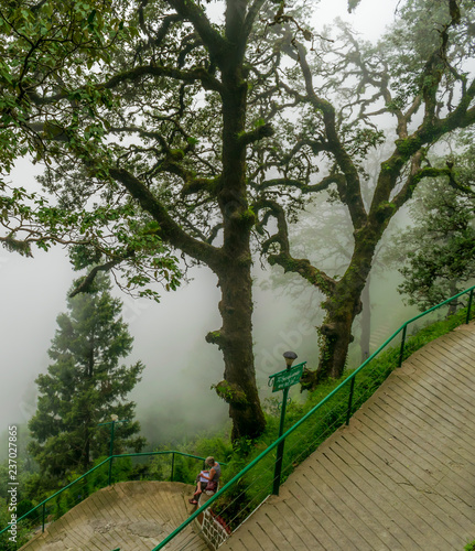 A lady reading a book in solitude, mists all around- Landour- all those who wander are not lost photo