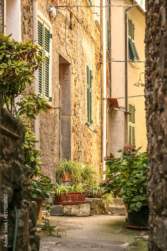 Narrow street in Corniglia, in Cinque Terre, Italy © matiplanas