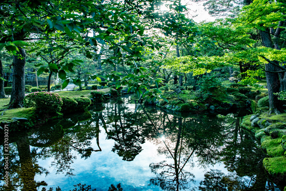 木々の水面反射 木々の水面反射