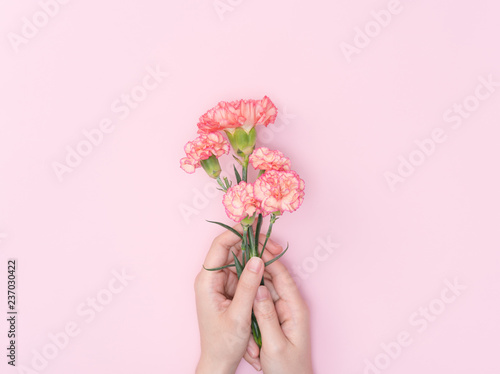 female hand hold carnation