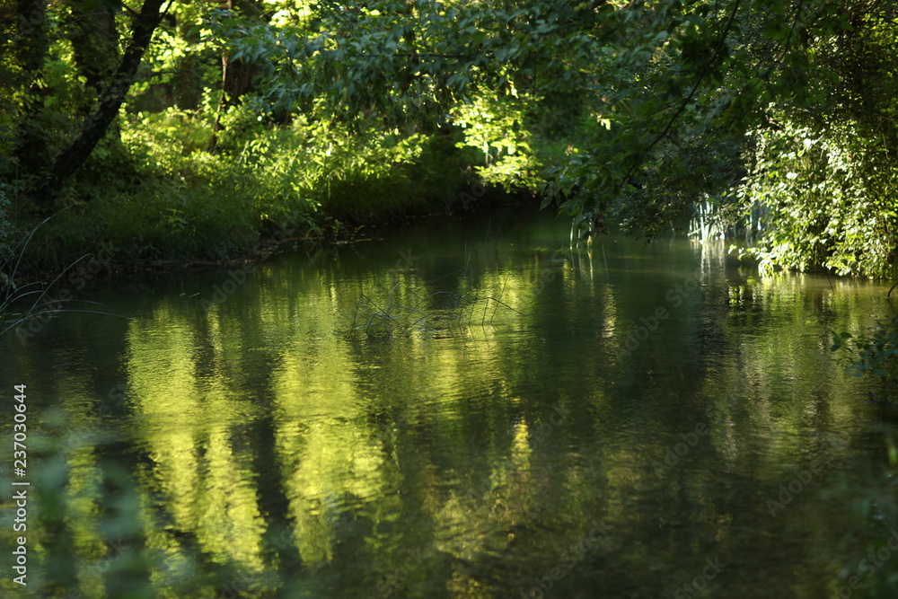 reflection of trees in the water reflection of trees in the water