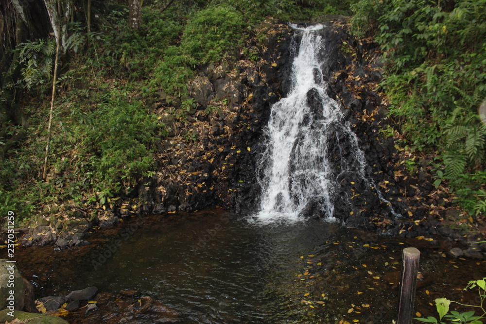 Fototapeta premium Cascade en foret tropicale