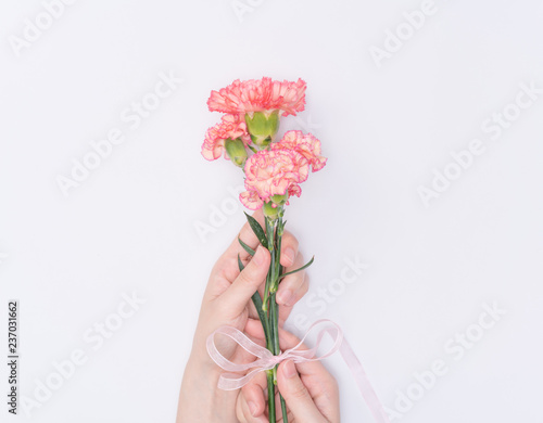female hand hold carnation