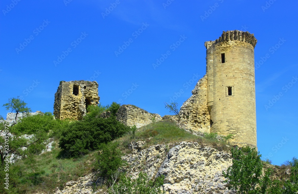 châteaux fort des bords du rhones