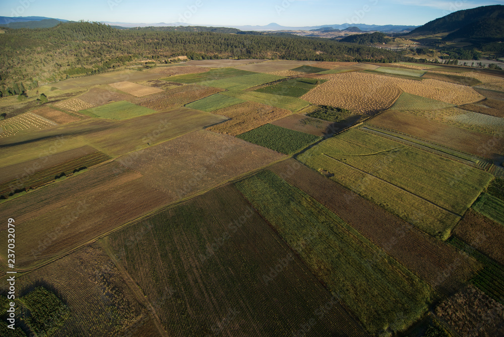 vista aerea de campos de cultivo