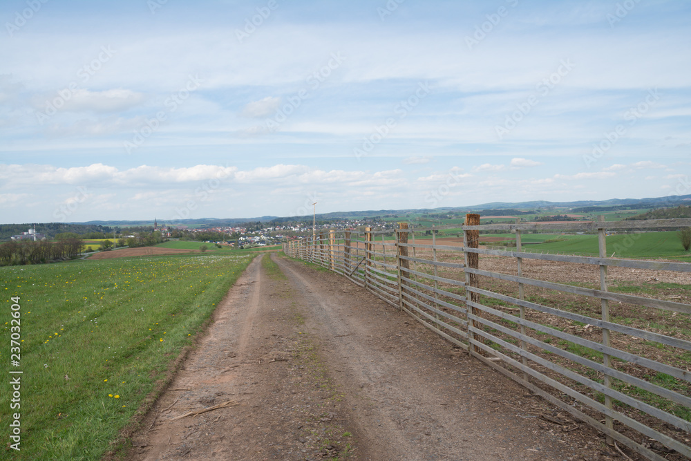 Naklejka premium Wildzaun