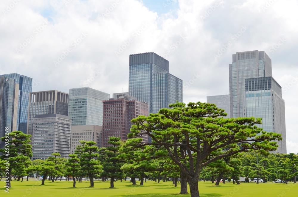 Beautiful Contrast in Tokyo Beautiful Contrast in Tokyo