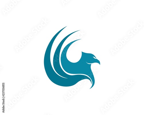 Falcon Eagle Bird Logo Template vector icon