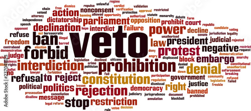 Veto word cloud