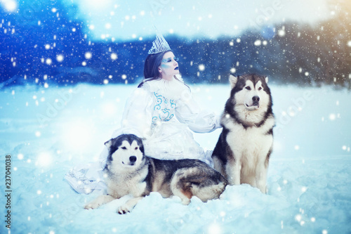 Snow-queen. Fairy tale girl with Huskies or Malamute. photo