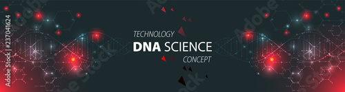 Science template, wallpaper or banner with a DNA molecules. Vector illustration.
