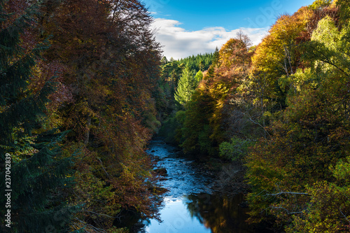 The woodland in autumnal colour on the banks of the River Divie in Moray  Scotland 20 October 2018