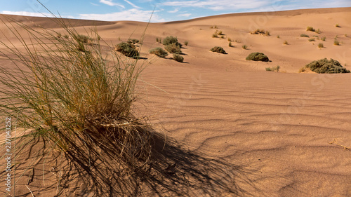 Wanderung durch die Wüste Sahara im Süden Marokko in der Nähe von Tafraout
