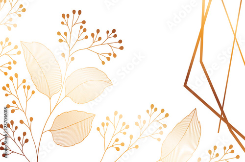 flowers with leaves and geometrical lines isolated icon