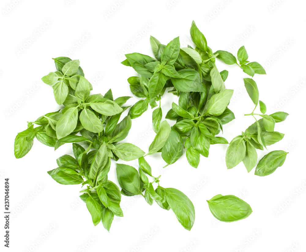 Sweet Genovese basil leaves background arrangement isolated on white. Top view. Sweet Genovese basil leaves background arrangement isolated on white. Top view.