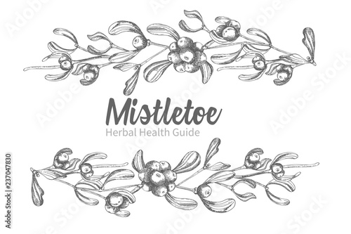 Set of hand drawn botanical sketch mistletoe branches. Vintage style. Traditional christmas decoration. For design holiday card, invitation, poster, banner