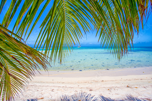 A tropical beach island with beautiful sand and turquoise water with palm trees. It the South Water Caye island in Belize and it's a typical Caribbean island.