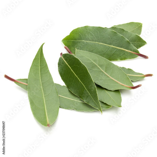 Aromatic bay leaves