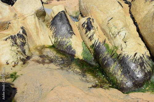 Cote Sauvage  Quiberon  Bretagne