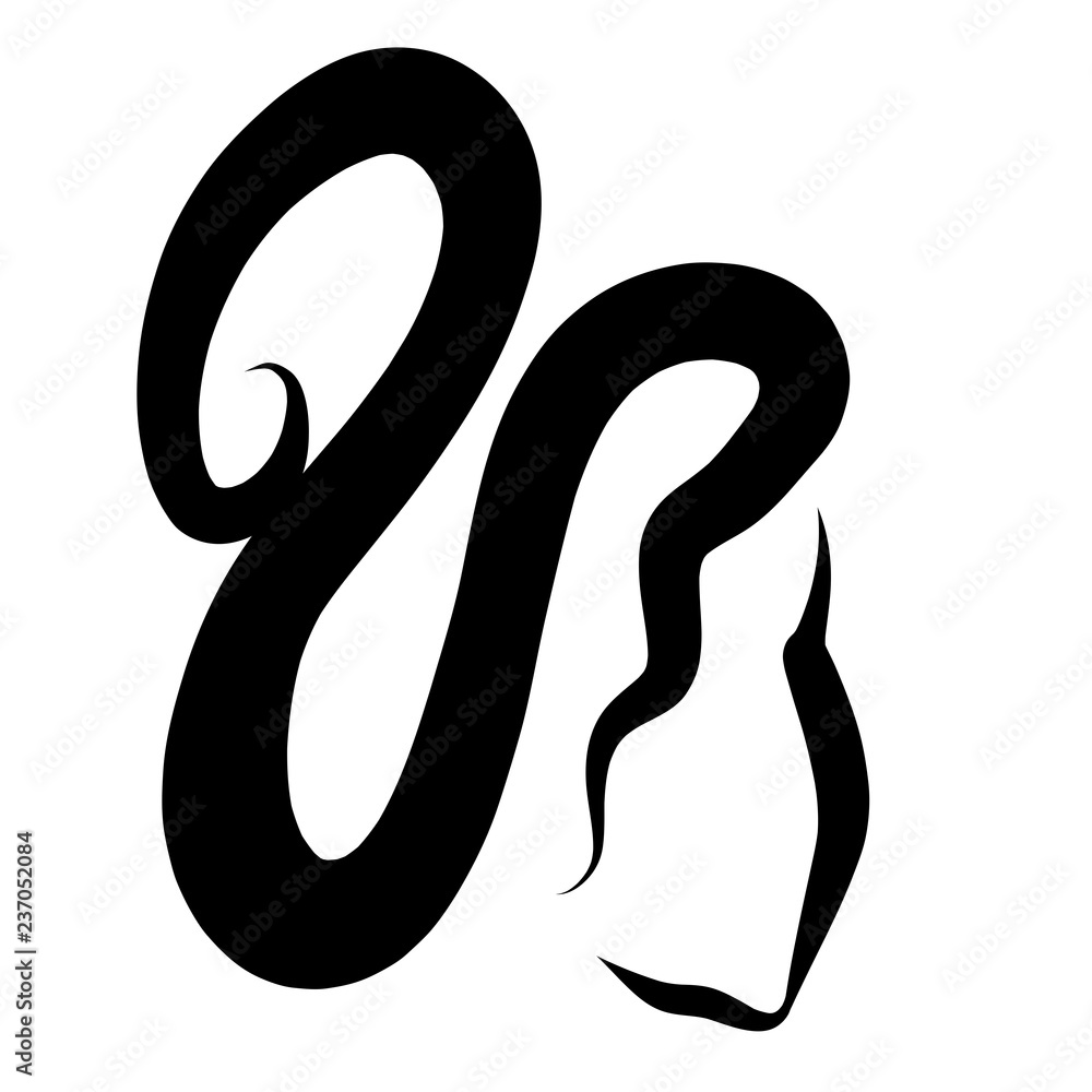 girl with hairstyle, celebration, black pattern, creative girl with hairstyle, celebration, black pattern, creative