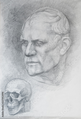 head construction anatomy drawing head and skull