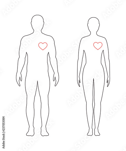 Heart of man. Vector linear illustration. Man and woman in full growth.