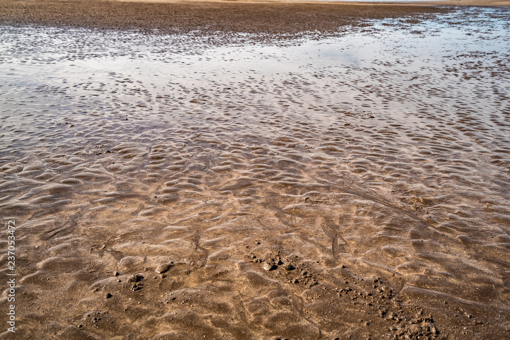 Sandy shore. extraordinary background Sandy shore. extraordinary background