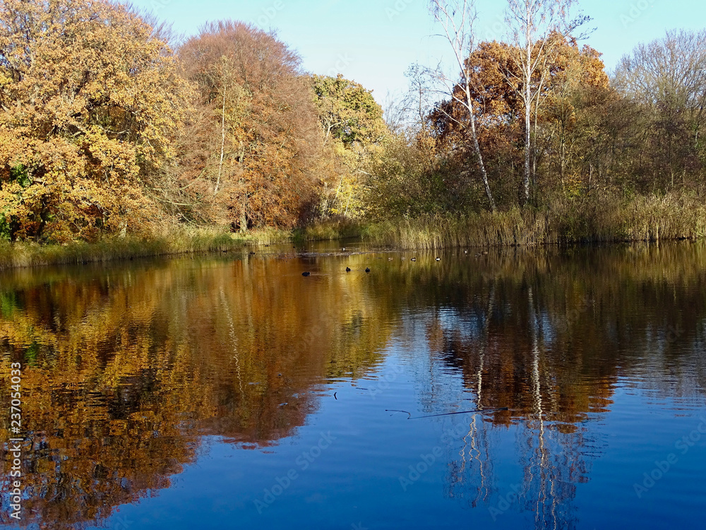 NL. Autumn in 2018