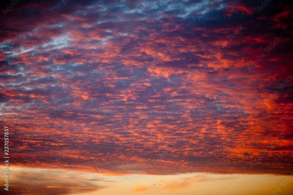 Fototapeta premium sky with clouds