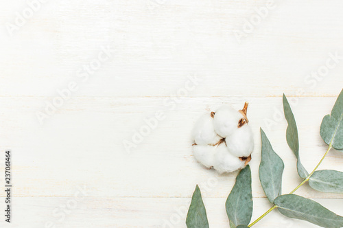Eucalyptus twigs and cotton flower on white wooden background. Flat lay, top view, copy space. Floral background, flowers composition.