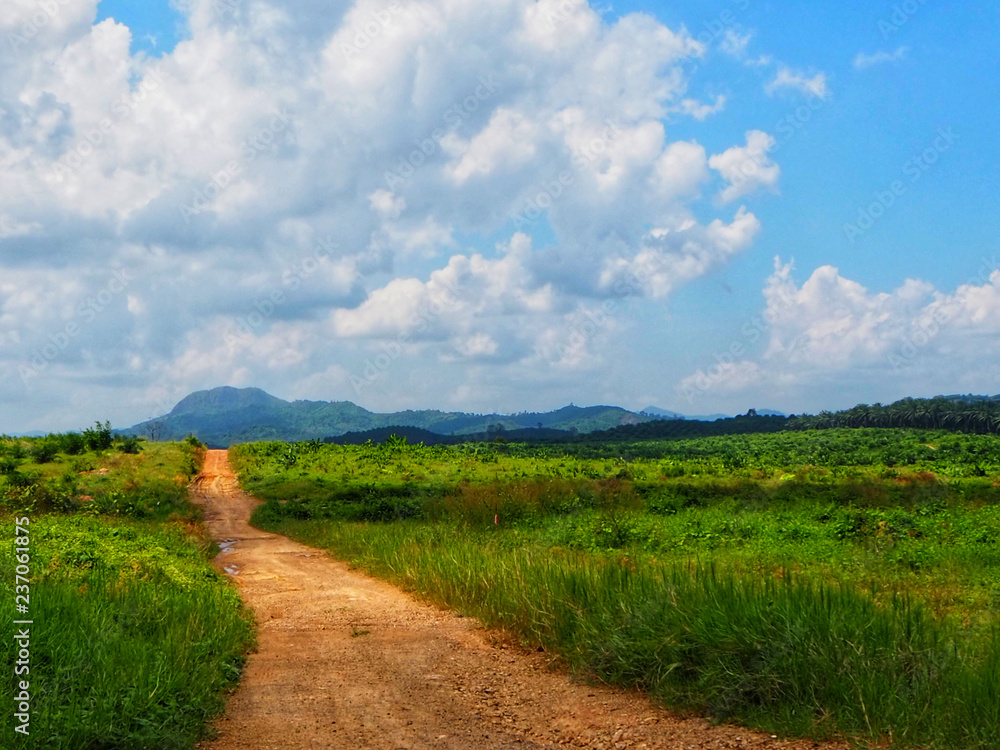 Obraz premium Beautiful rural road. Rural roads in Thailand