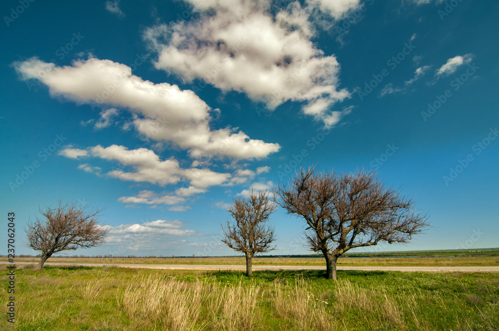 The crimean steppe. The crimean steppe.