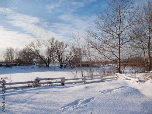 The snow winter landscape © yuplex