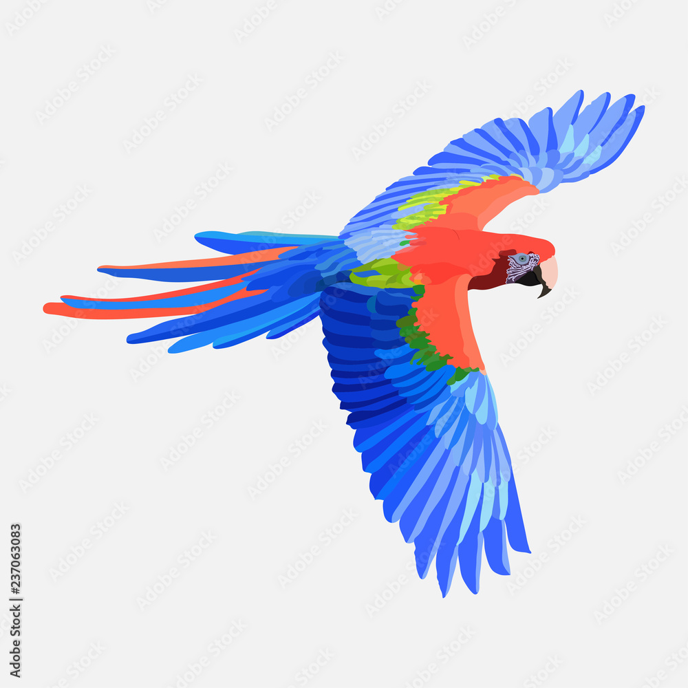 realistic parrot exotic bird, macaw parrot Amazon bird picture f
