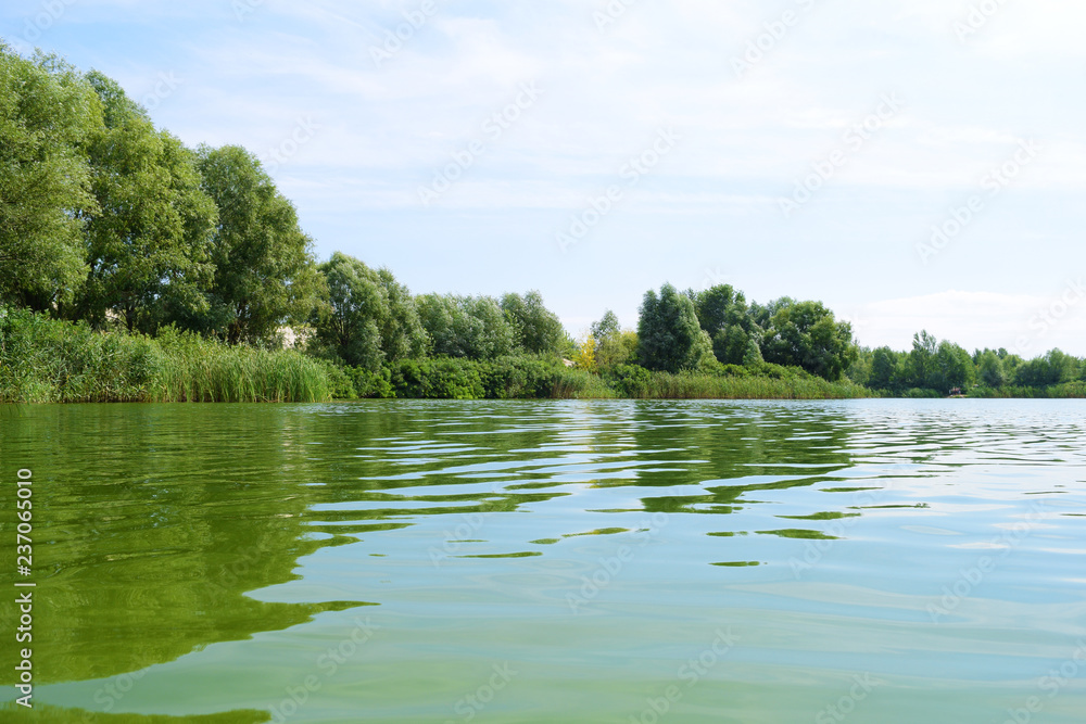 View across a large lake to a green forest in the distance. Landscape summer.