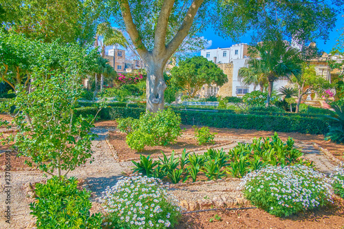 NAXXAR, MALTA - JUNE 14, 2018: The beautiful garden of Palazzo Parisio with high variety of plants and trees, on June 14 in Naxxar. photo