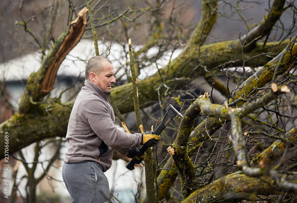Obraz premium Farmer working on a tree