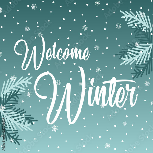 Welcome Winter lettering inscription. Winter background or emblems for invitation  greeting card  posters. Drawn winter inspiration phrase. Vector illustration.