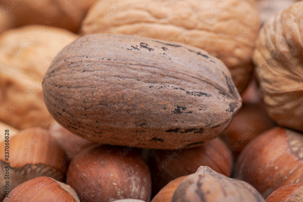 Macro shot of different nuts: almond, walnut, hazelnut and pecan on burlap background. Macro shot of different nuts: almond, walnut, hazelnut and pecan on burlap background.