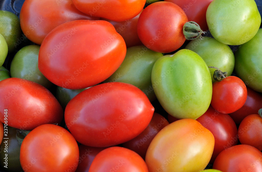 Tomato