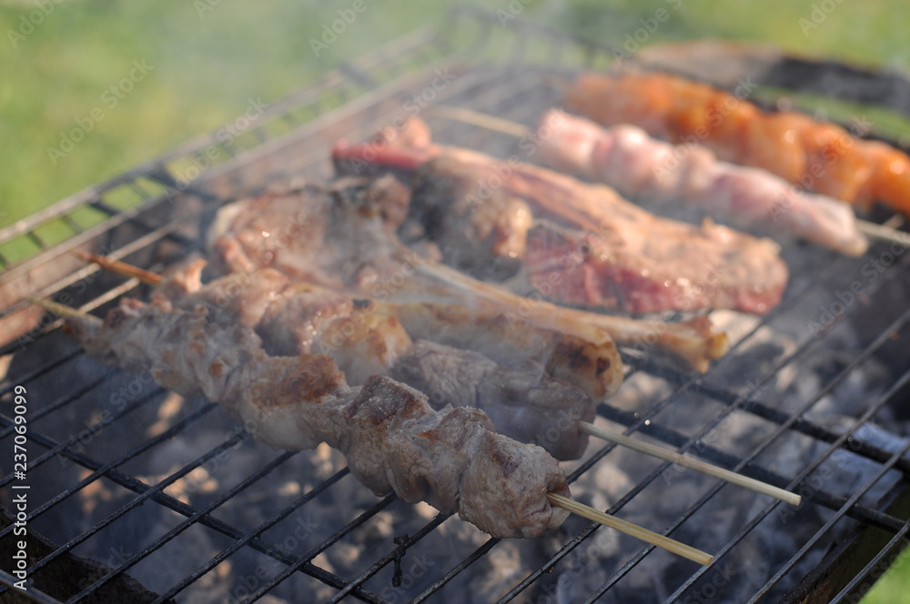 Traditional Cypriot meze and kebap barbecue party in the garden with delicious mix meat and chicken kebaps Traditional Cypriot meze and kebap barbecue party in the garden with delicious mix meat and chicken kebaps