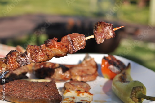 Traditional Cypriot meze and kebap barbecue party in the garden with delicious mix meat and chicken kebaps photo