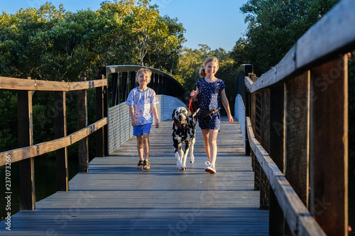 Sister and brother walk their dalmatian puppy on a boardwalk in Brisbane, Australia