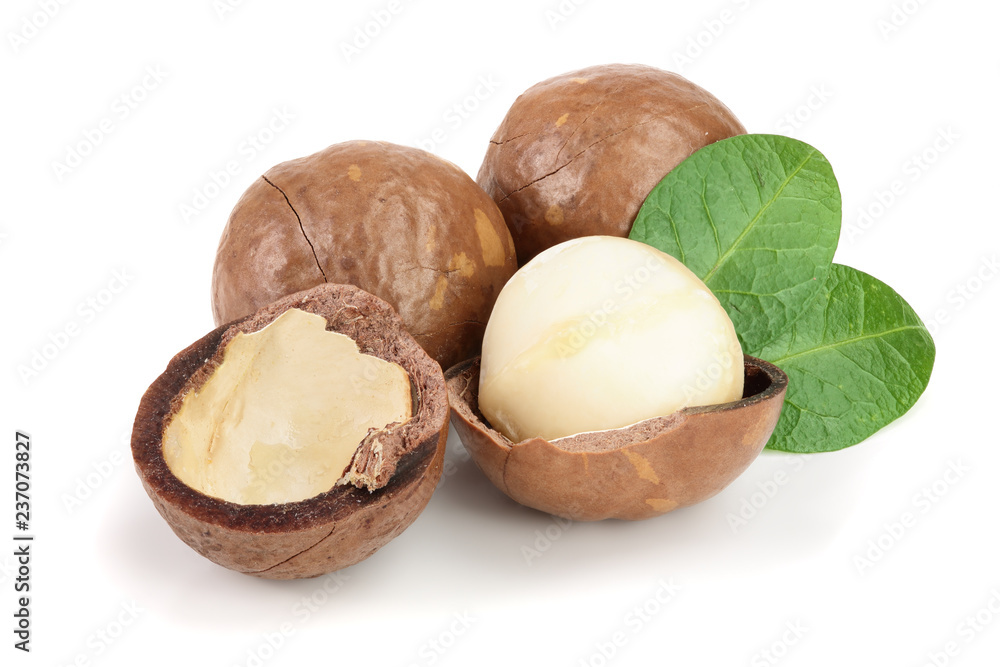 Shelled and unshelled macadamia nuts with leaves isolated on white background Shelled and unshelled macadamia nuts with leaves isolated on white background
