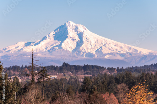 A crisp clear view out my front window, Mt Hood